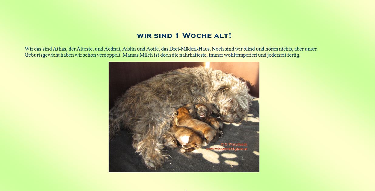 Unsere 1 Woche